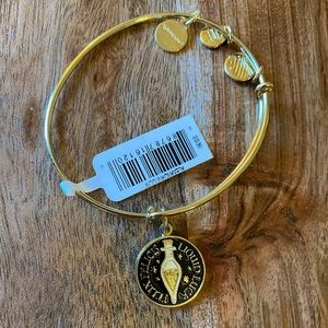 Alex and Ani Harry Potter “Liquid Luck” bracelet.